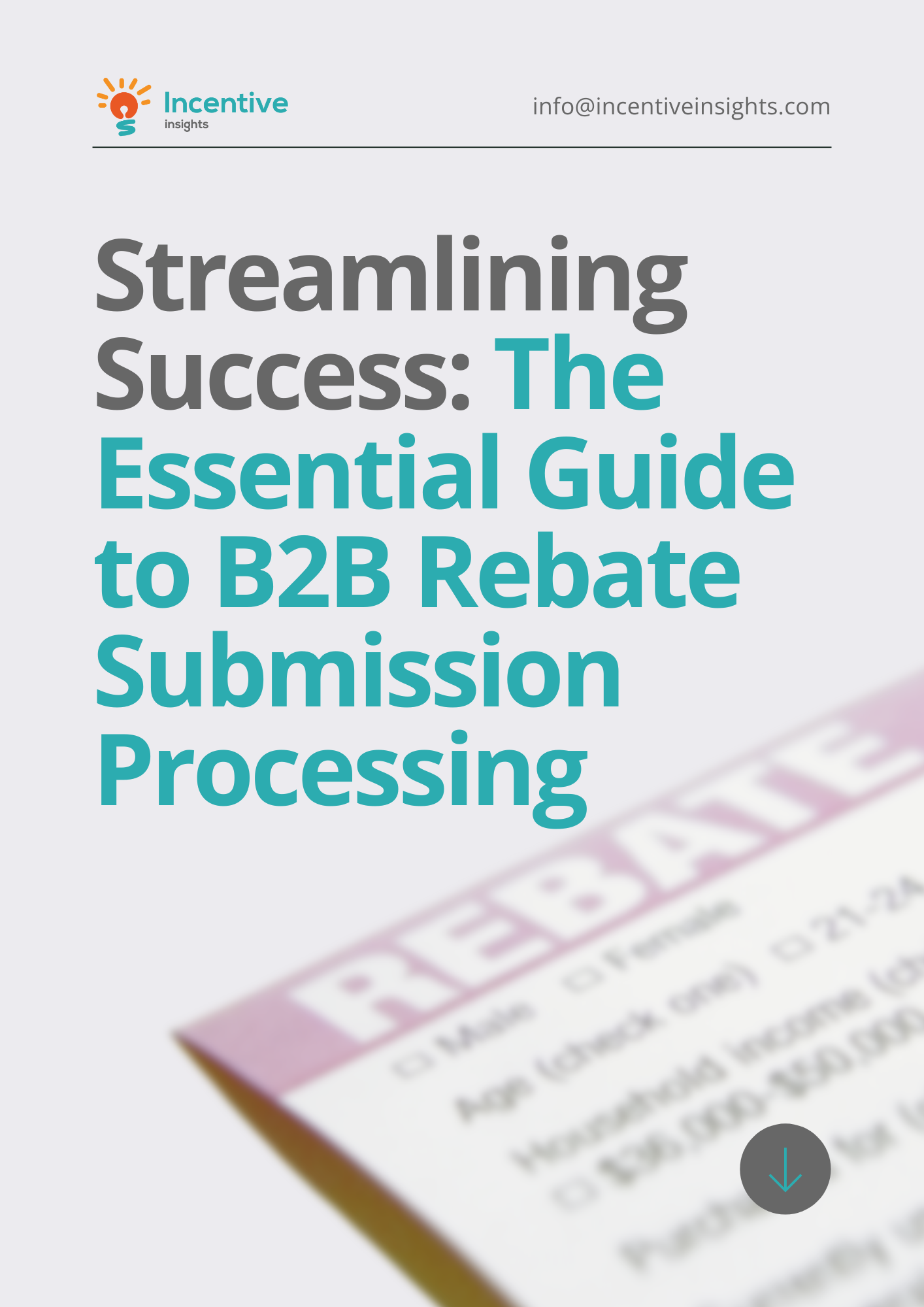 streamlining success the essential guide to b2b rebate submission processing